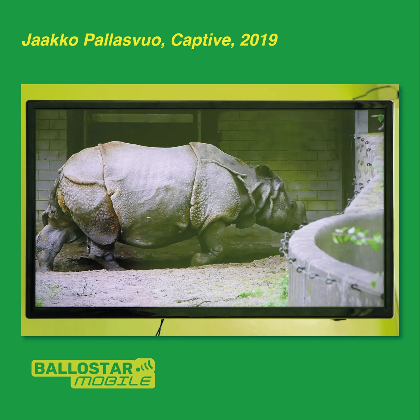 4-jaakko-pallasvuo-captive.jpg