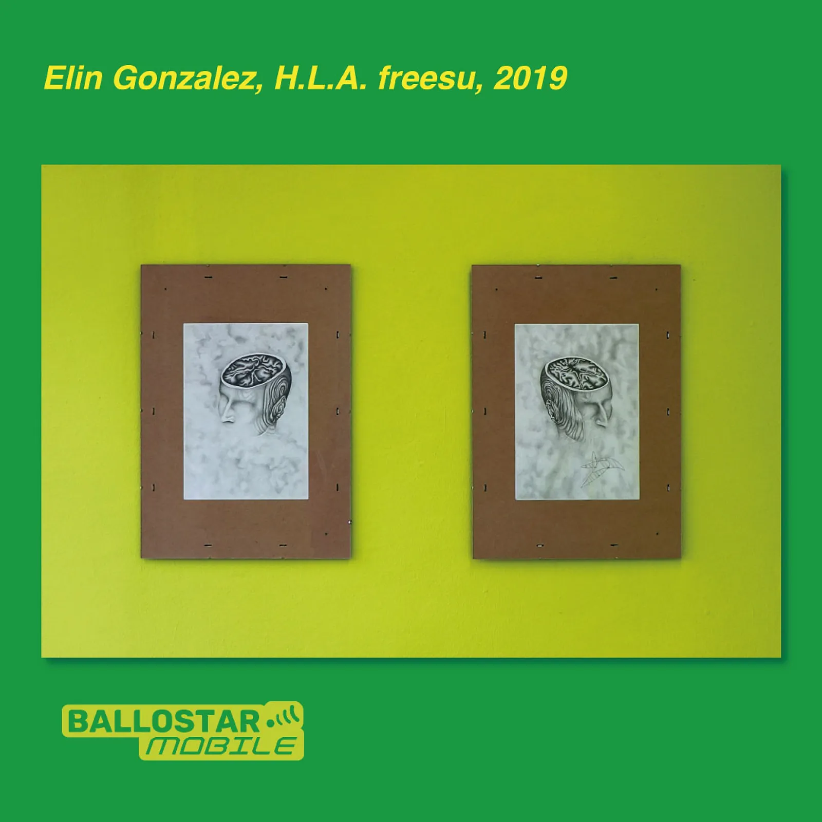 2-elin-gonzalez-freesu.jpg